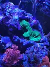 [TodoMarino.com] Vendo nano completo 64l - Girona