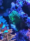 [TodoMarino.com] Vendo nano completo 64l - Girona