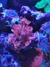 [TodoMarino.com] Vendo nano completo 64l - Girona