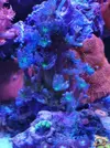 [TodoMarino.com] Vendo nano completo 64l - Girona