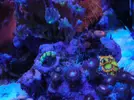 [TodoMarino.com] Vendo nano completo 64l - Girona