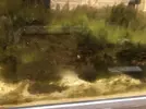 [TodoMarino.com] Muchísimas algas