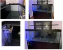 [TodoMarino.com] Vendo Acuario+Sump en Madrid - Madrid