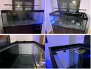 [TodoMarino.com] Vendo Acuario+Sump en Madrid - Madrid