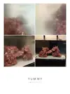 [TodoMarino.com] RedSea Reef 250 + Sump