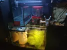 [TodoMarino.com] RedSea Reef 250 + Sump