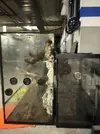 [TodoMarino.com] Cambio Terrarios  grandes por animales y corales fotosinteticos