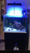 [TodoMarino.com] Acuario cubo y mesa 120L - Madrid