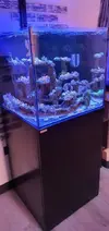 [TodoMarino.com] Acuario marino cubo - Petrel(Alicante)