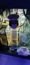 [TodoMarino.com] Acuario marino cubo - Petrel(Alicante)
