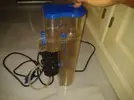 [TodoMarino.com] xurrita reef