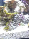 [TodoMarino.com] algo me esta estropeando los zoos!!