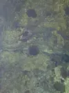 [TodoMarino.com] Ayuda identificacion!