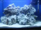 [TodoMarino.com] picoreef de 24l