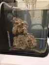 [TodoMarino.com] Nuevo en este mundo - Mi nuevo nano eco 54L