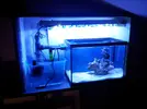 [TodoMarino.com] picoreef 15l