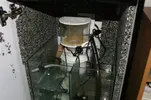 [TodoMarino.com] Elegir skimmer entre 3 opciones