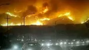 [TodoMarino.com] Incendios Málaga
