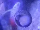 [TodoMarino.com] ¿cada cuanto limpias los cristales?