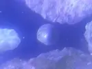 [TodoMarino.com] ¿cada cuanto limpias los cristales?