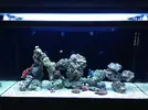[TodoMarino.com] Nuevo proyecto de Acuario