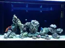 [TodoMarino.com] Nuevo proyecto de Acuario