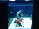 [TodoMarino.com] Nuevo proyecto de Acuario
