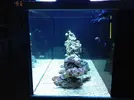 [TodoMarino.com] Nuevo proyecto de Acuario