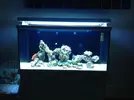 [TodoMarino.com] Nuevo proyecto de Acuario