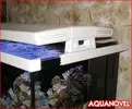 [TodoMarino.com] Nuevo proyecto de Acuario