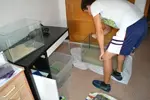 [TodoMarino.com] De Grande a pequeño... ( 40litros )