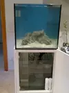 [TodoMarino.com] Alba Cube Reef