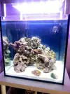 [TodoMarino.com] Mi cubo