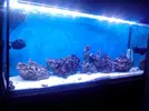 [TodoMarino.com] una pregunta de leds