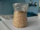 [TodoMarino.com] Olvídate del reactor, Bactopellets, los biopellets de Rainbow