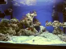[TodoMarino.com] Os presento mi 200 l