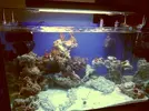 [TodoMarino.com] Os presento mi 200 l