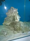 [TodoMarino.com] lechera´s reef  - consejos ,colocacion roca-