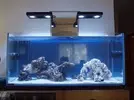 [TodoMarino.com] Primer acuario marino, empezamos con algo mas de 300l