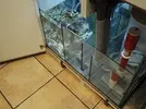 [TodoMarino.com] Primer acuario marino, empezamos con algo mas de 300l