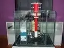 [TodoMarino.com] mi acuario en proceso