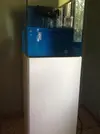 [TodoMarino.com] Yomismo´s Reef  91L+sump