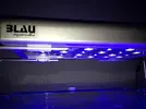 [TodoMarino.com] Yomismo´s Reef  91L+sump