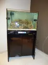 [TodoMarino.com] Espero sea mi próximo reef.