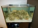[TodoMarino.com] Espero sea mi próximo reef.
