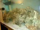 [TodoMarino.com] Espero sea mi próximo reef.