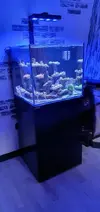 [TodoMarino.com] REBAJADO..Acuario marino cubo de 60x60x55 - Petrel(Alicante)
