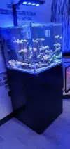 [TodoMarino.com] REBAJADO..Acuario marino cubo de 60x60x55 - Petrel(Alicante)
