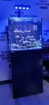 [TodoMarino.com] REBAJADO..Acuario marino cubo de 60x60x55 - Petrel(Alicante)