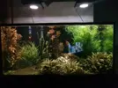 [TodoMarino.com] Proyecto 425 litros